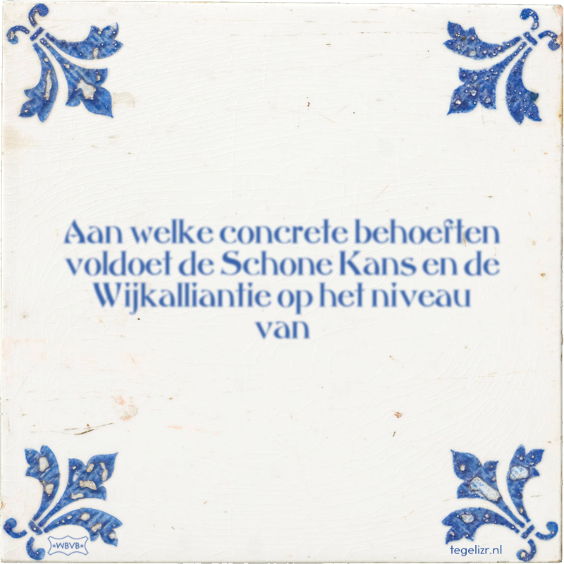 Aan welke concrete behoeften voldoet de Schone Kans en de Wijkalliantie op het niveau van - Online tegeltjes bakken