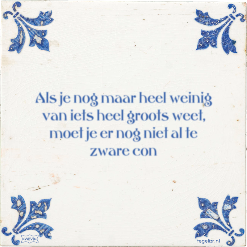 Als je nog maar heel weinig van iets heel groots weet, moet je er nog niet al te zware con - Online tegeltjes bakken