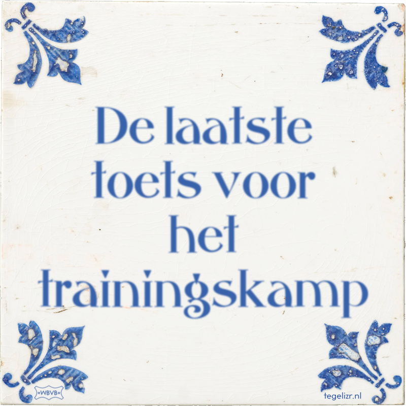 De laatste toets voor het trainingskamp - Online tegeltjes bakken