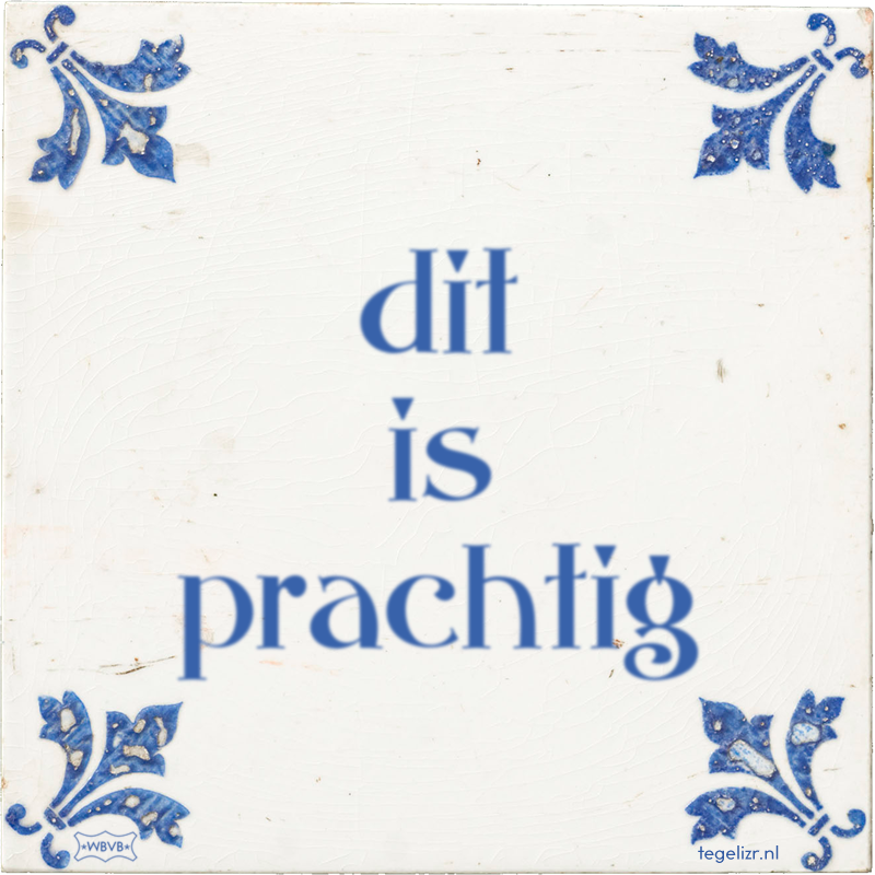 dit is prachtig - Online tegeltjes bakken