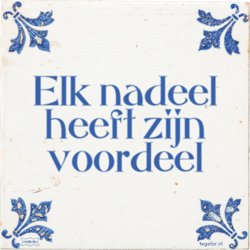 Elk nadeel heeft zijn voordeel - Online tegeltjes bakken