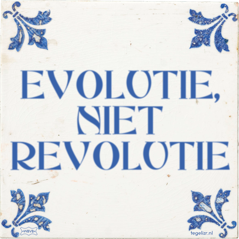 EVOLUTIE, NIET REVOLUTIE - Online tegeltjes bakken