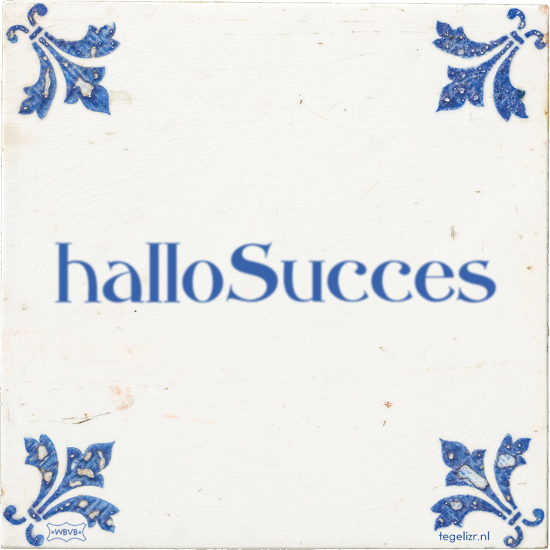 halloSucces - Online tegeltjes bakken