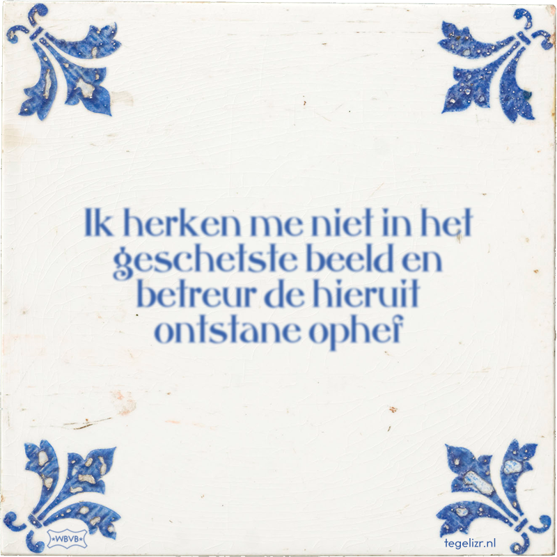 Ik herken me niet in het geschetste beeld en betreur de hieruit ontstane ophef - Online tegeltjes bakken
