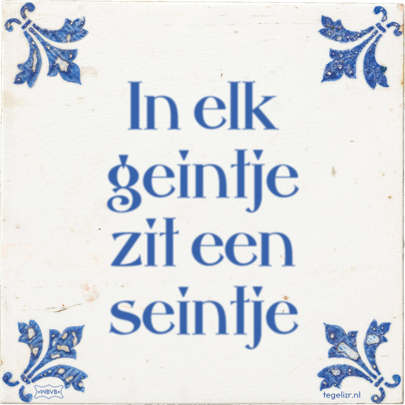 In elk geintje zit een seintje - Online tegeltjes bakken