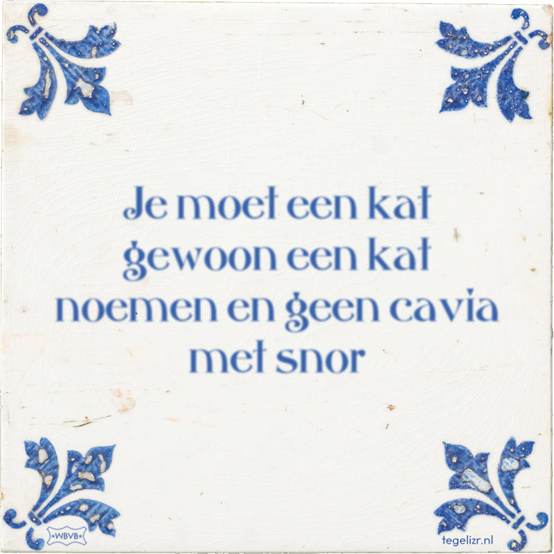 Je moet een kat gewoon een kat noemen en geen cavia met snor - Online tegeltjes bakken
