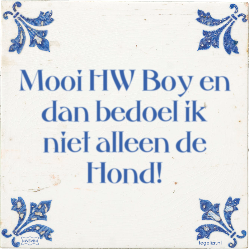 Mooi HW Boy en dan bedoel ik niet alleen de Hond! - Online tegeltjes bakken
