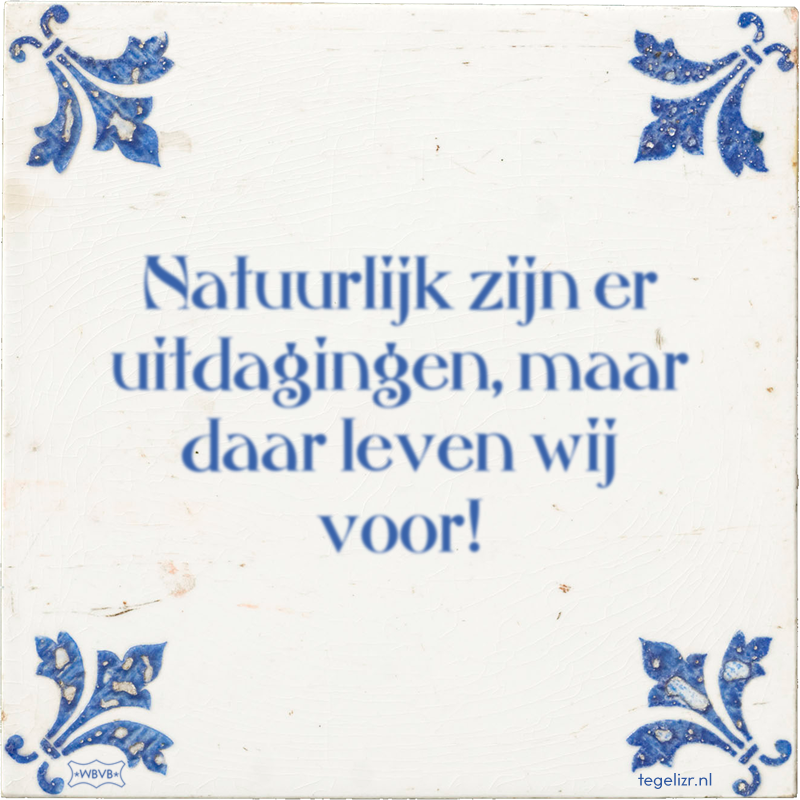 Natuurlijk zijn er uitdagingen, maar daar leven wij voor! - Online tegeltjes bakken