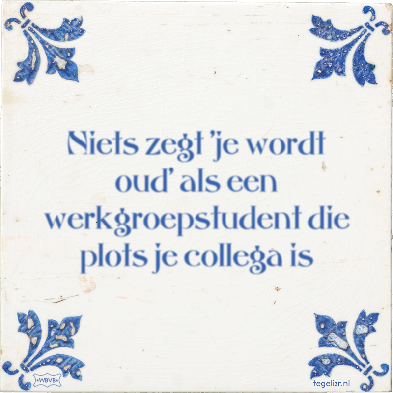 Niets zegt 'je wordt oud' als een werkgroepstudent die plots je collega is - Online tegeltjes bakken