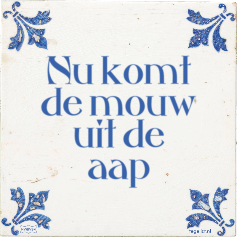 Nu komt de mouw uit de aap - Online tegeltjes bakken