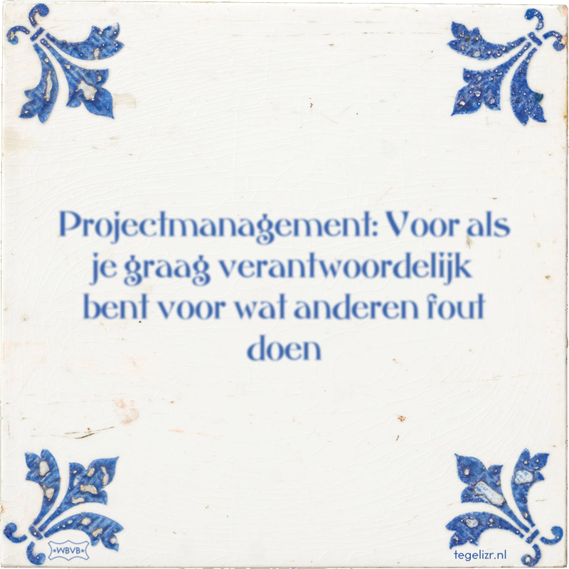 Projectmanagement: Voor als je graag verantwoordelijk bent voor wat anderen fout doen - Online tegeltjes bakken