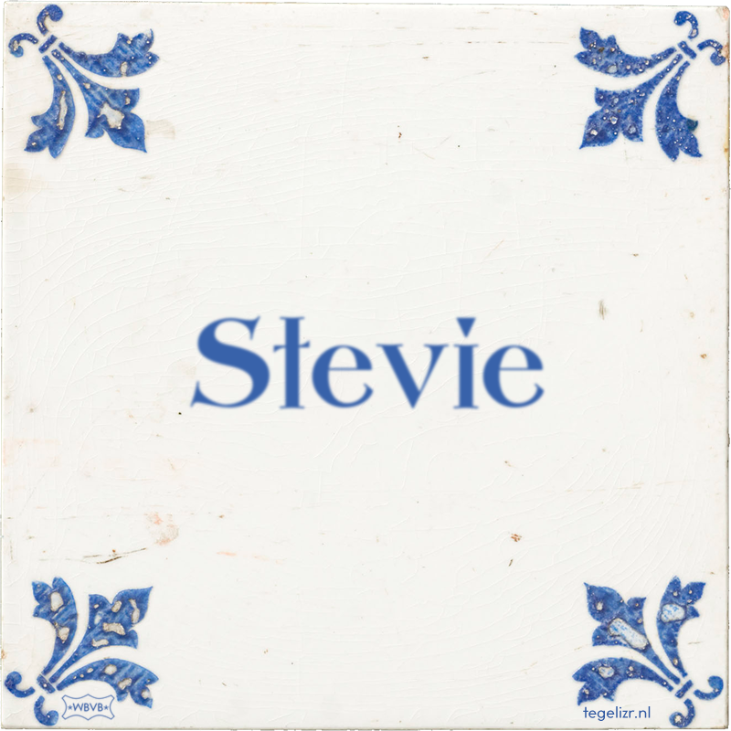 Stevie - Online tegeltjes bakken