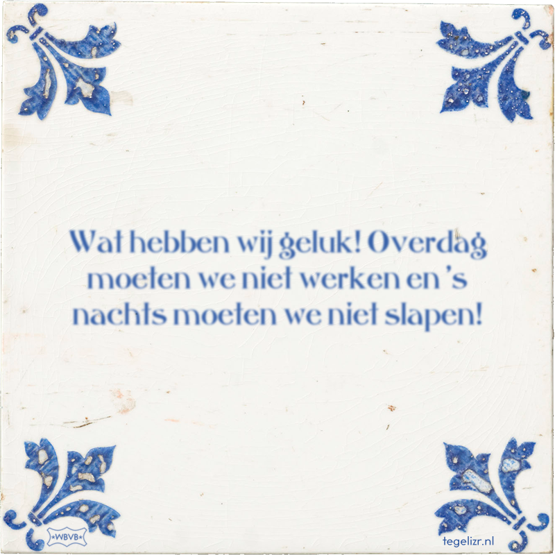 Wat hebben wij geluk! Overdag moeten we niet werken en 's nachts moeten we niet slapen! - Online tegeltjes bakken