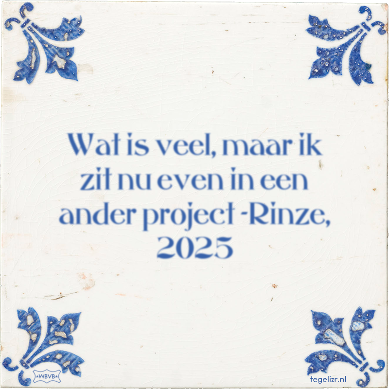 Wat is veel, maar ik zit nu even in een ander project -Rinze, 2025 - Online tegeltjes bakken