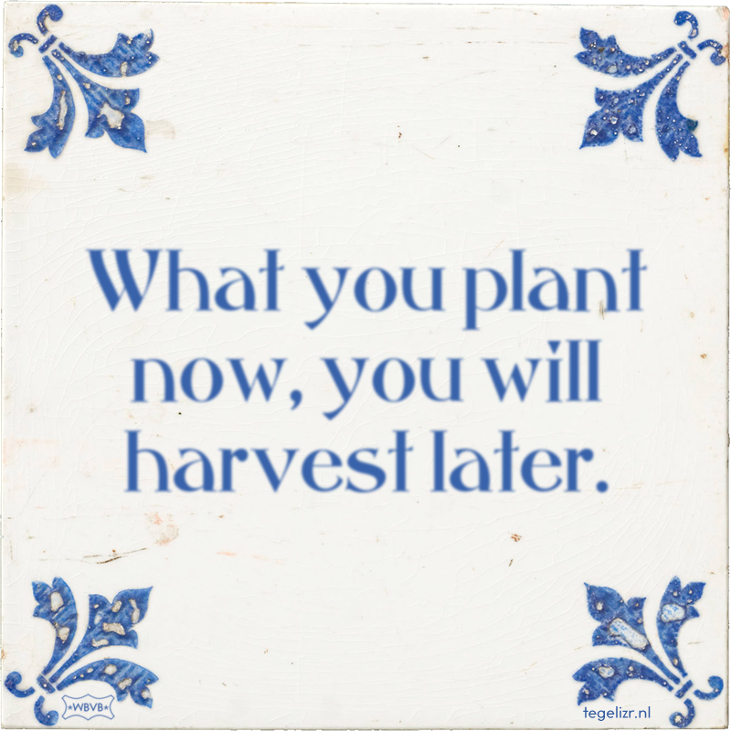 What you plant now, you will harvest later. - Online tegeltjes bakken