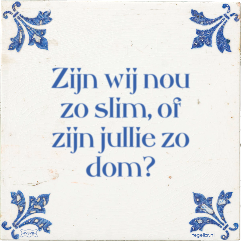 Zijn wij nou zo slim, of zijn jullie zo dom? - Online tegeltjes bakken