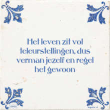 Het leven zit vol teleurstellingen, dus verman jezelf en regel het gewoon - 23 keer bekeken