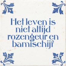 Het leven is niet altijd rozengeur en bamischijf - 25 keer bekeken