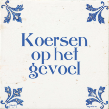 Koersen op het gevoel - 6 keer bekeken