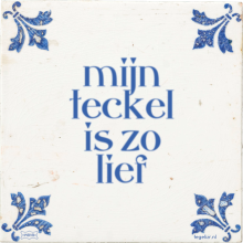 mijn teckel is zo lief - 8 keer bekeken