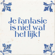 Je fantasie is niet wat het lijkt - 8 keer bekeken