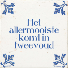 Het allermooiste komt in tweevoud - 2 keer bekeken