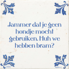 Jammer dat je geen hondje mocht gebruiken. Huh we hebben bram? - 32 keer bekeken