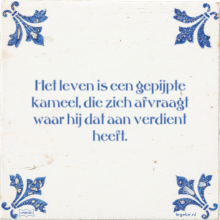 Het leven is een gepijpte kameel, die zich afvraagt waar hij dat aan verdient heeft. - 2 keer bekeken
