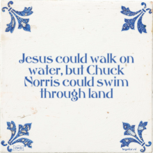 Jesus could walk on water, but Chuck Norris could swim through land - 3 keer bekeken