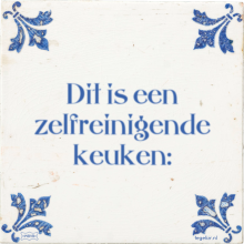 Dit is een zelfreinigende keuken: - 7 keer bekeken