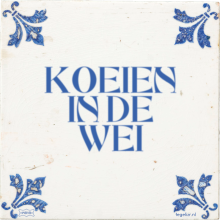 KOEIEN IN DE WEI - 7 keer bekeken