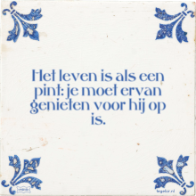 Het leven is als een pint: je moet ervan genieten voor hij op is. - 12 keer bekeken