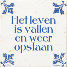 Het leven is vallen en weer opstaan - 14 keer bekeken