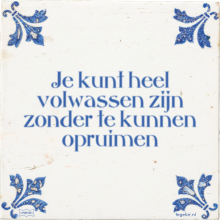 Je kunt heel volwassen zijn zonder te kunnen opruimen - 158 keer bekeken