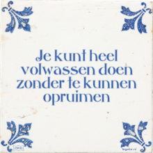 Je kunt heel volwassen doen zonder te kunnen opruimen - 6 keer bekeken