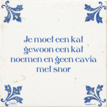 Je moet een kat gewoon een kat noemen en geen cavia met snor - 68 keer bekeken