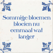 Sommige bloemen bloeien nu eenmaal wat langer - 44 keer bekeken